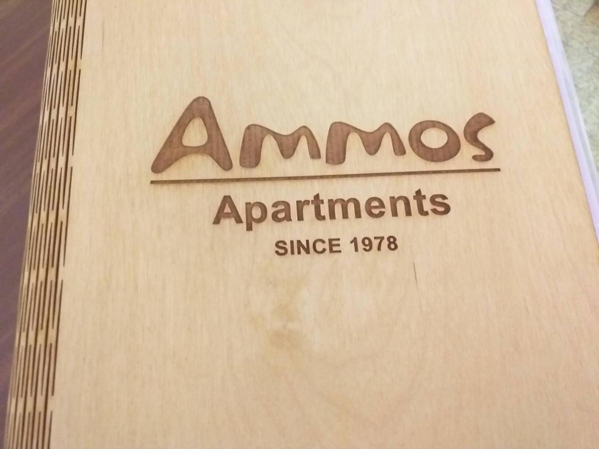 Ammos Apartments Ayos Nikolaos Dış mekan fotoğraf